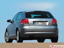 Audi 2.0 TDI 16V (140 bg) quattro (2003)