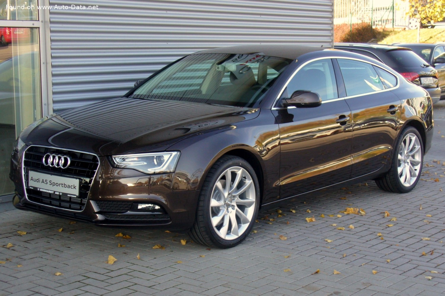2011 Audi A5 2.0 TFSI (230 bg)