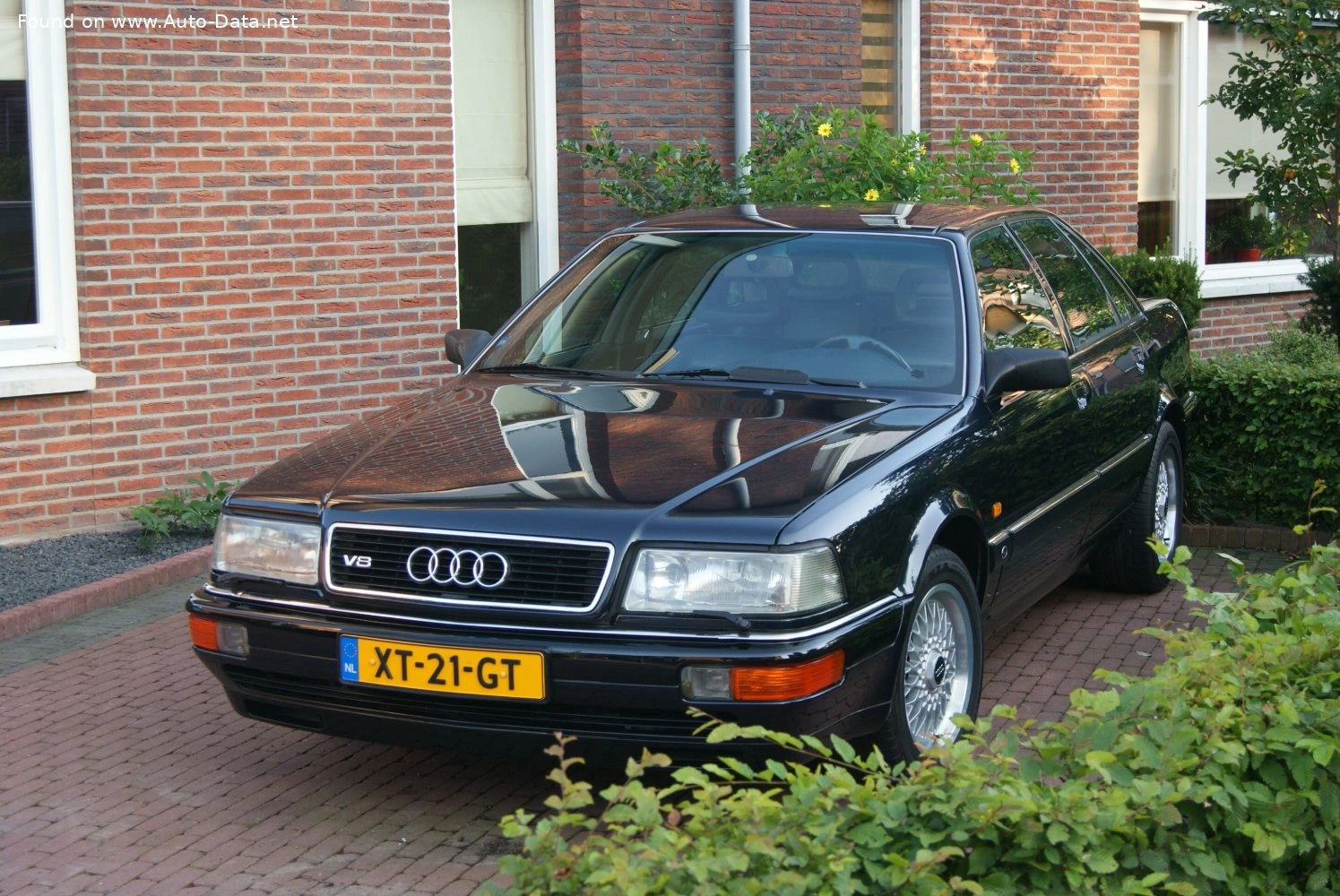 Audi V8 V8 (D11)