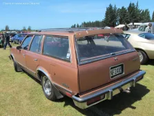 1981 Chevrolet Malibu 4.4 V8 (115 bg) CAT Automatic 2