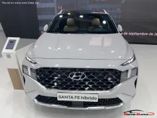2020 Hyundai Santa Fe 1.6 T-GDI (230 bg) Hybrid Automatic 7 Seat 2