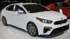 2019 Kia Forte 2.0 MPI (147 bg) i-CVT 1