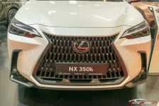 2021 Lexus NX 350h (244 bg) Hybrid AWD e-CVT 5