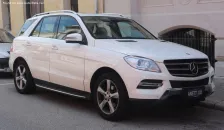 2011 Mercedes-Benz M-Serisi ML 250 BlueTEC (204 bg) 4MATIC 7G-TRONIC PLUS 1