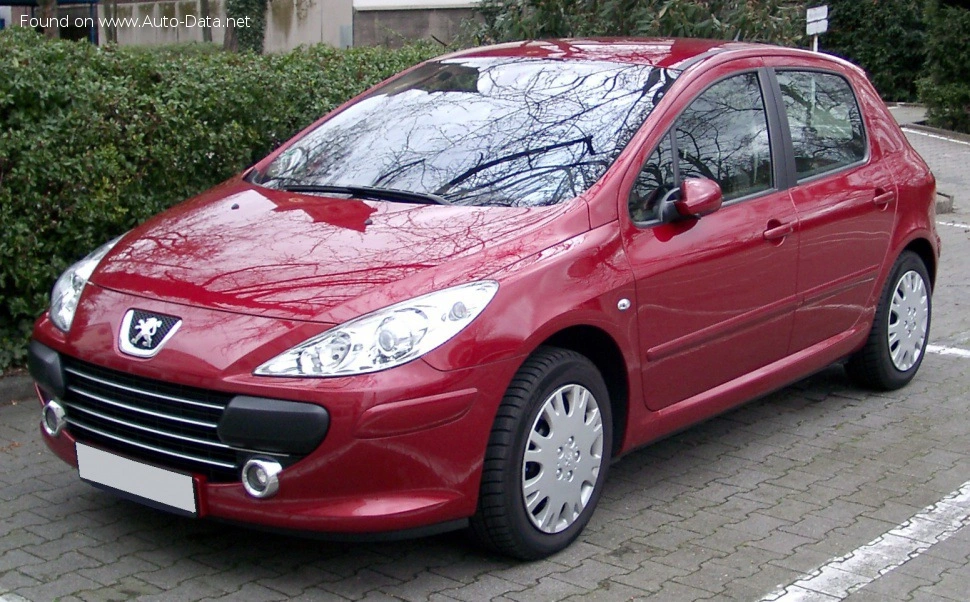 2005 Peugeot 307 1.6 HDi (109 bg)