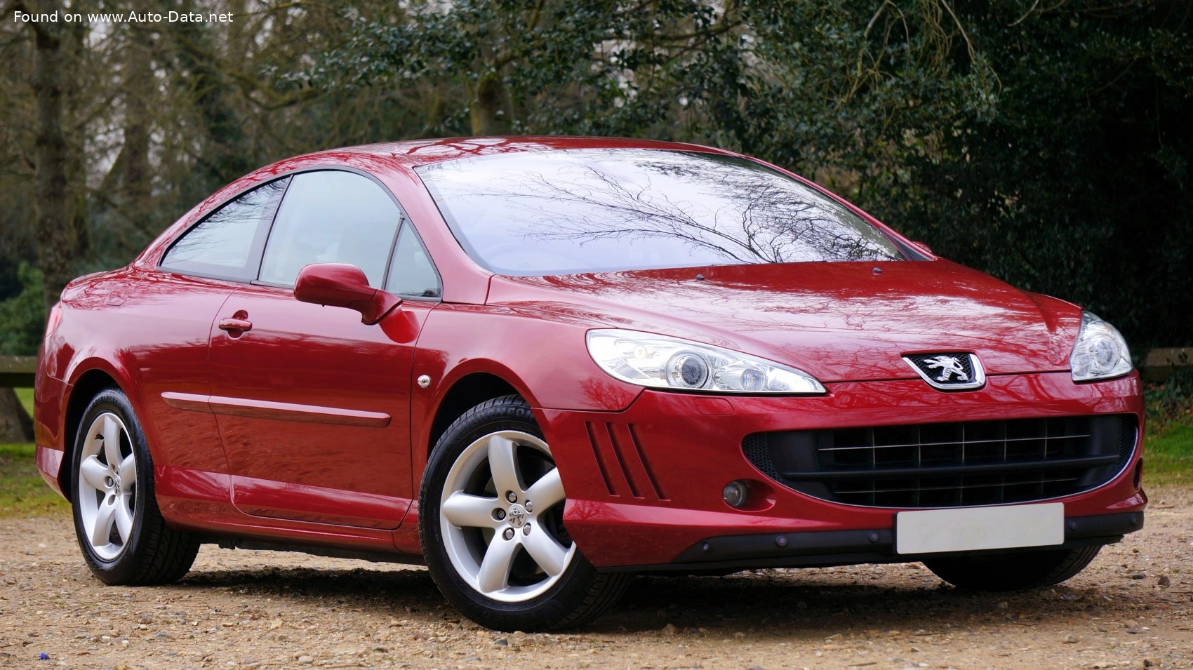 Peugeot 407 407 Coupe